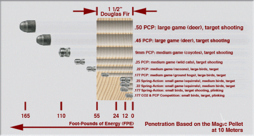 Pellet Penetration Through Douglas Fir