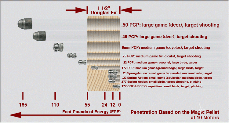 Pellet Penetration Through Douglas Fir