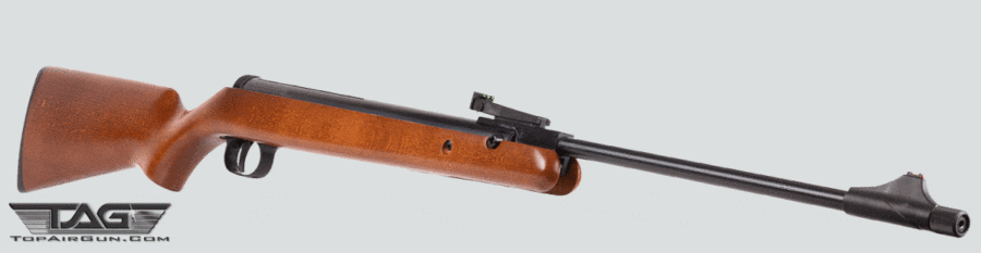 Diana Chaser Carbine 22 Cal Pellet Air Rifle