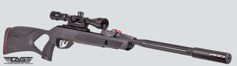 Gamo - Rifle Gamo Black Bear Nitropiston Mira 3-9 X 40 Caceria Diabolos