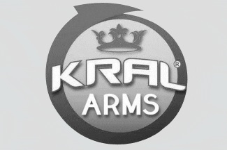 american-air-arms-air-guns