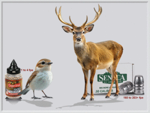 A Power Spectrum air rifle USA, Buy A Power Spectrum air gun online, Top-rated A Power Spectrum airguns, A Power Spectrum pellet rifle for sale, Best air gun superstore in the USA, a-power-specturm-desktop-bird-deer.gif