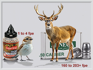Animal Size of a Bird and a Deer
