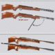 2. Three Basic Types of Air Guns